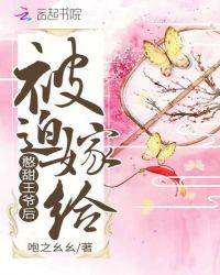 被迫嫁给傻王爷