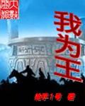 我为王总扛大旗